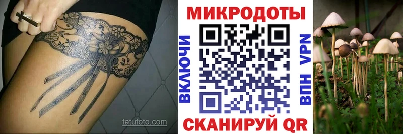 Псилоцибиновые грибы мицелий  Купить закладки  Абаза 